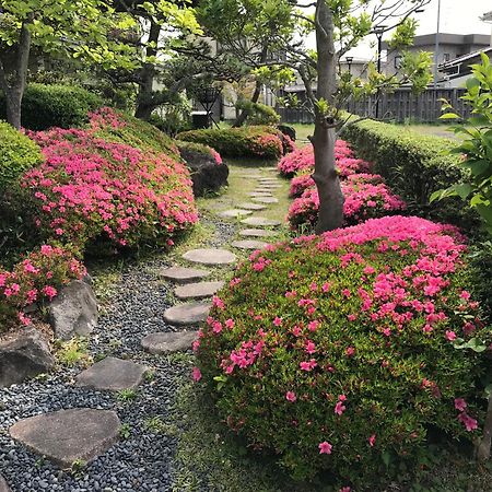 Matsushima Koumura المظهر الخارجي الصورة