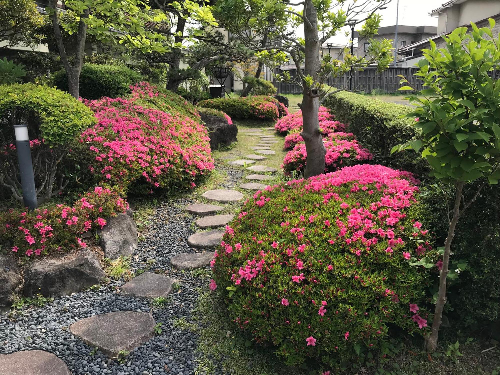 Matsushima Koumura المظهر الخارجي الصورة
